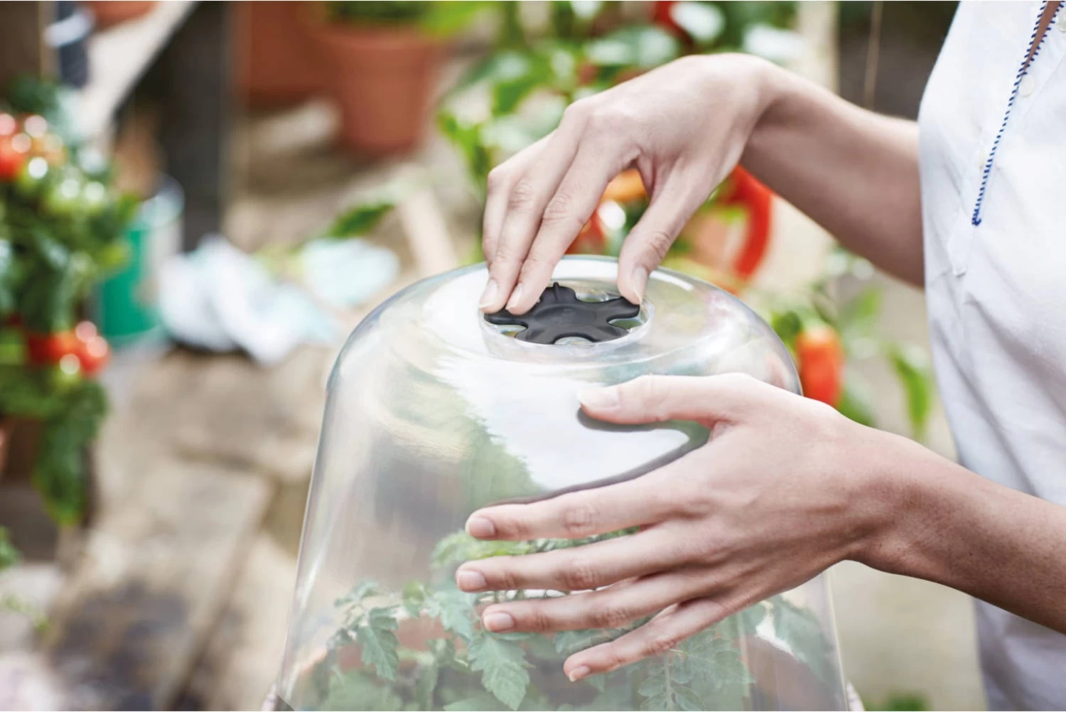 Elho Green Basics Anzucht Haus Rund, 30 Cm – Bild 2