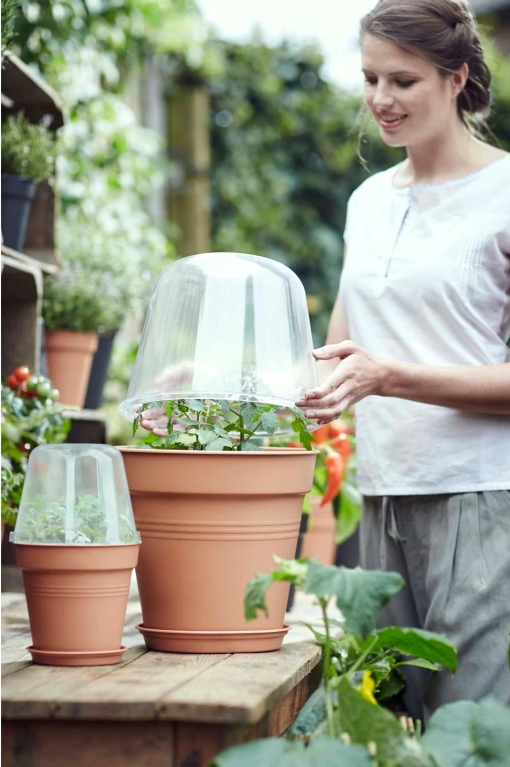 Elho Green Basics Anzucht Haus Rund, 30 Cm – Bild 4