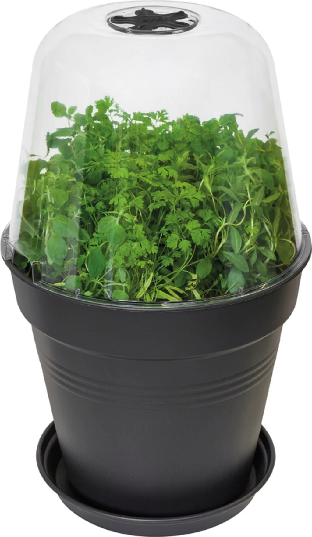 Elho Green Basics Anzucht Haus Rund, 30 Cm – Bild 6