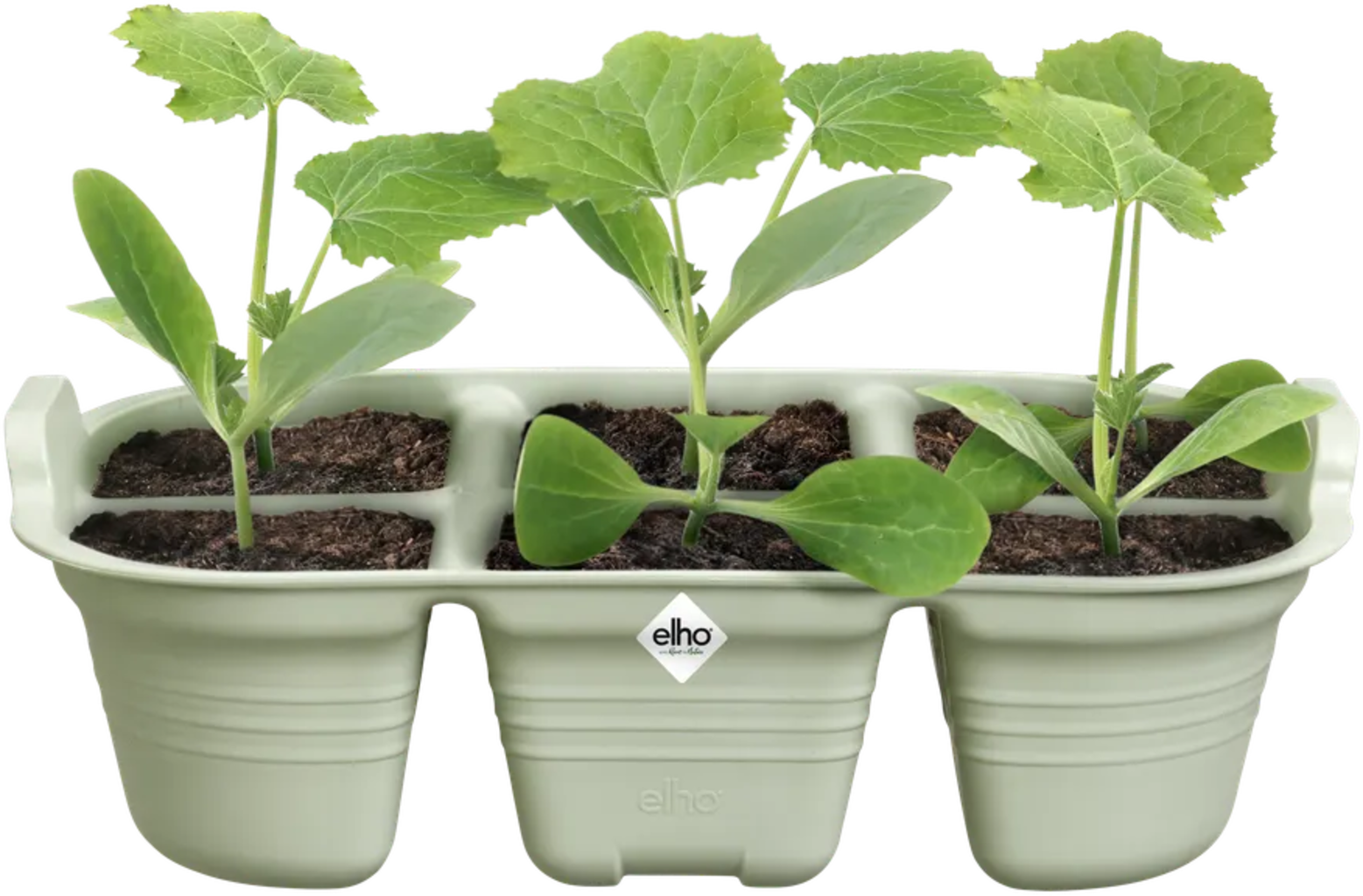 Elho Green Basics Anzucht-Set - Schwarz â Bild 15