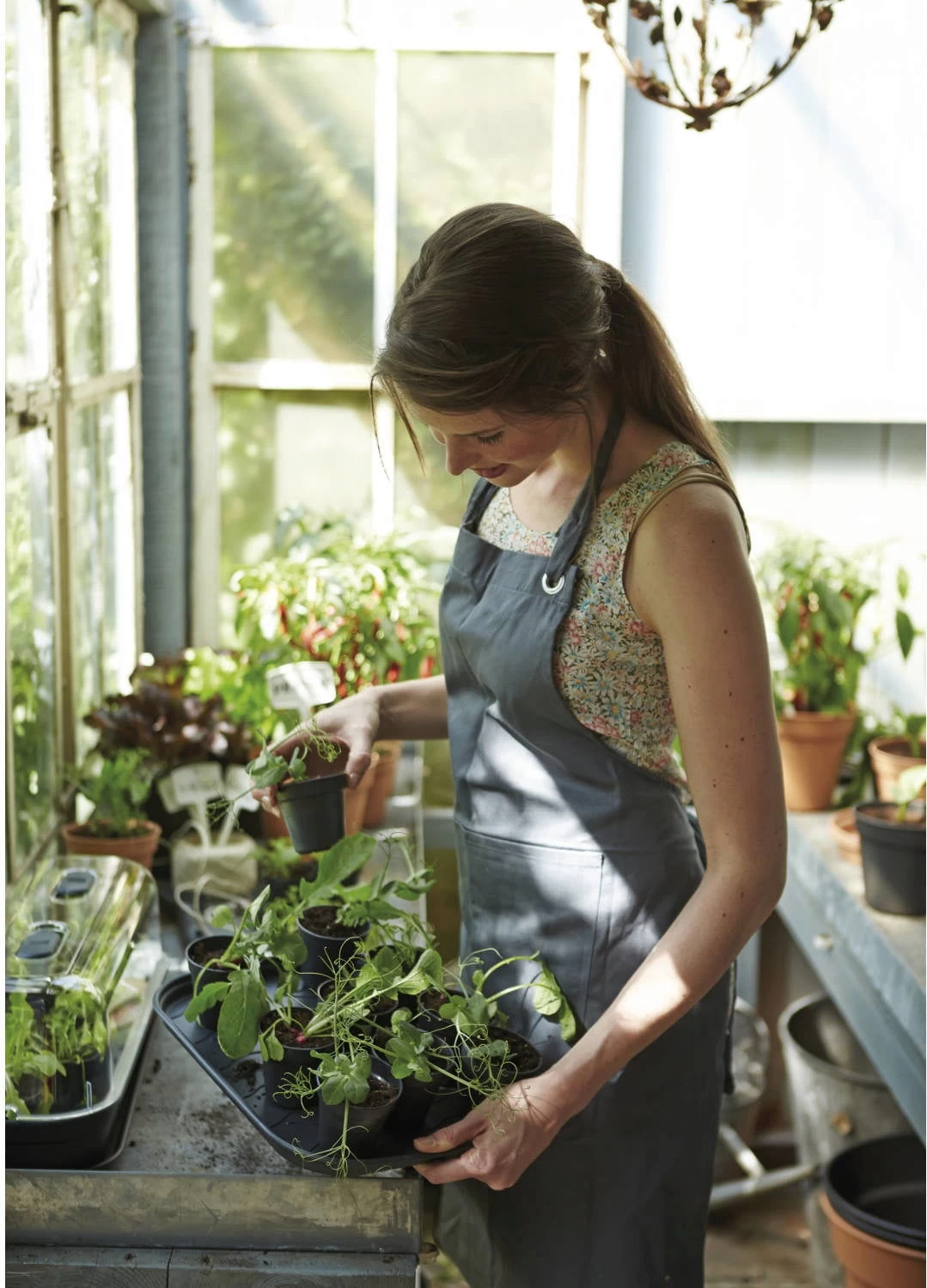 Elho Green Basics Anzucht-Untersetzer S, Lebhaft Schwarz – Bild 5