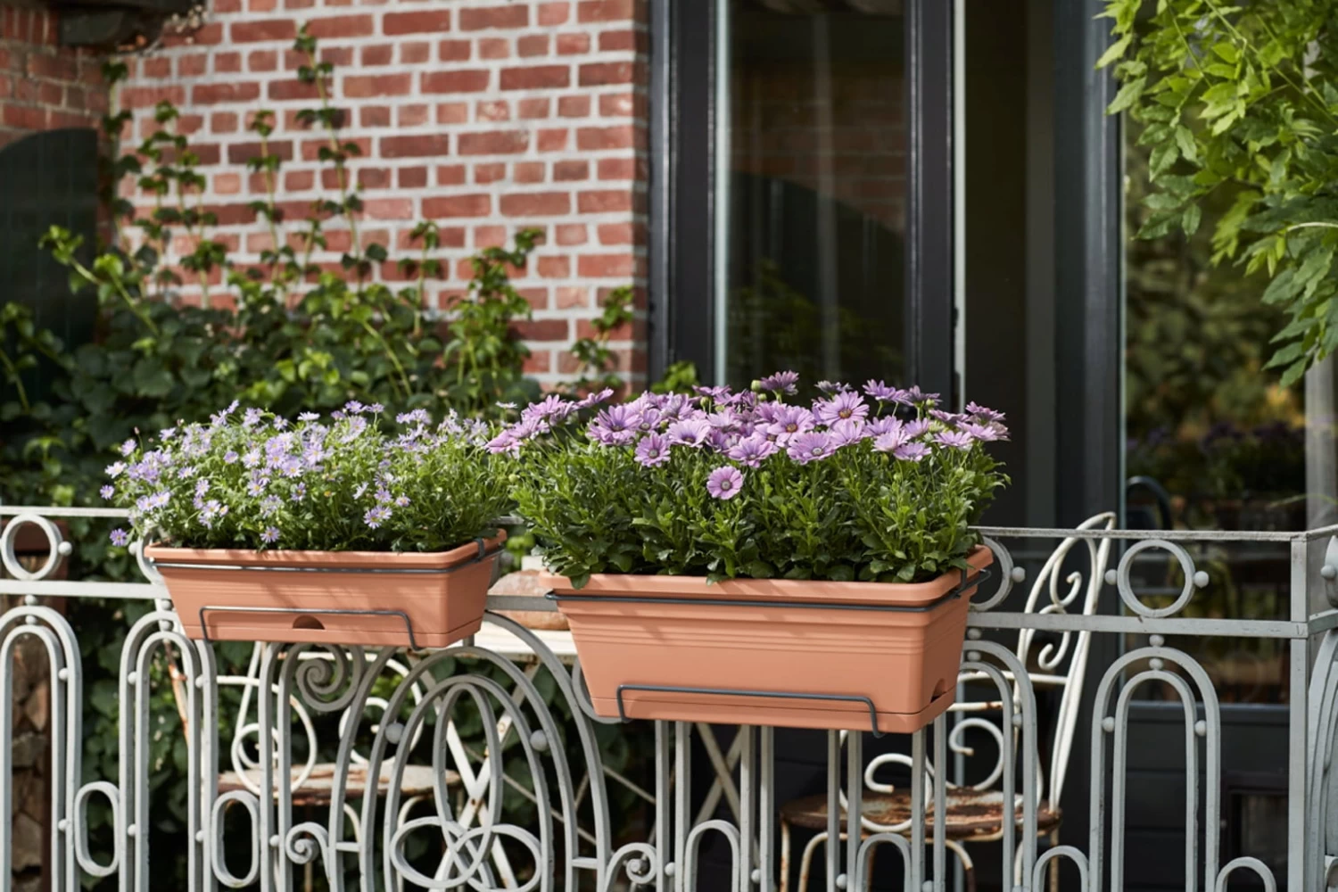 Elho Green Basics Balkonkasten Xl Allin1 55 Cm, Schwarz