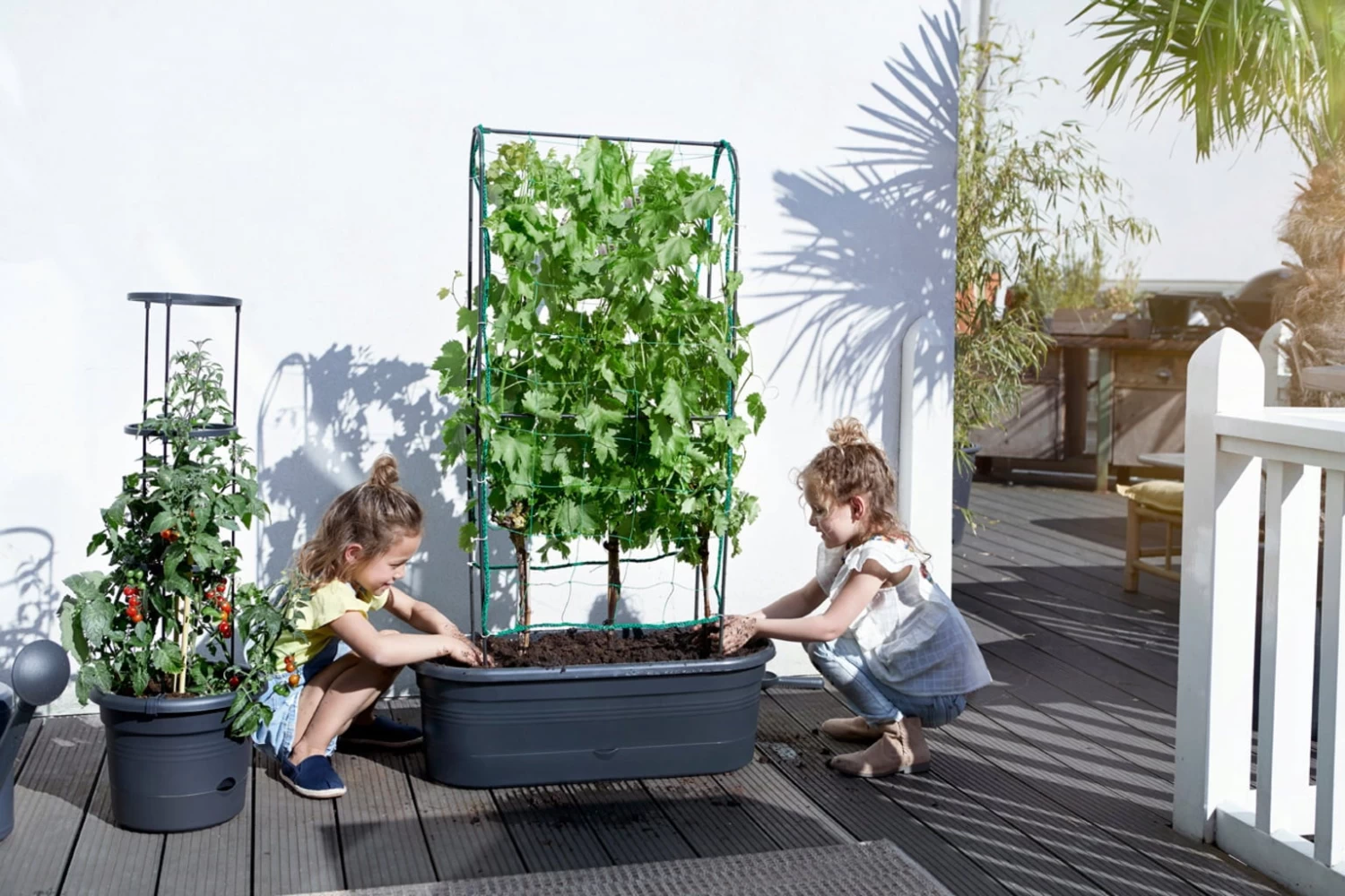 Elho Green Basics Veggie Wall 80 Cm â Bild 3