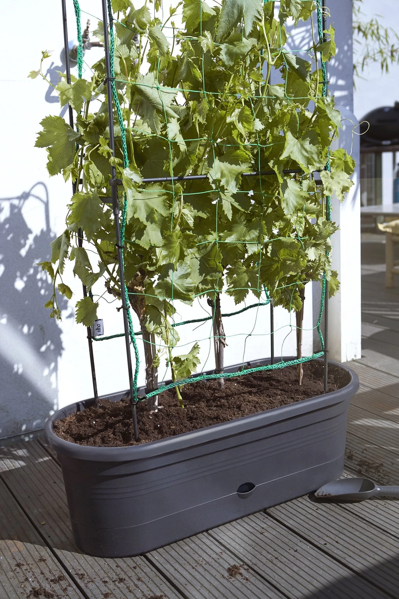 Elho Green Basics Veggie Wall 80 Cm â Bild 8