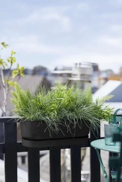 Elho Greenville Easy Balcony 52 Cm, Living Schwarz