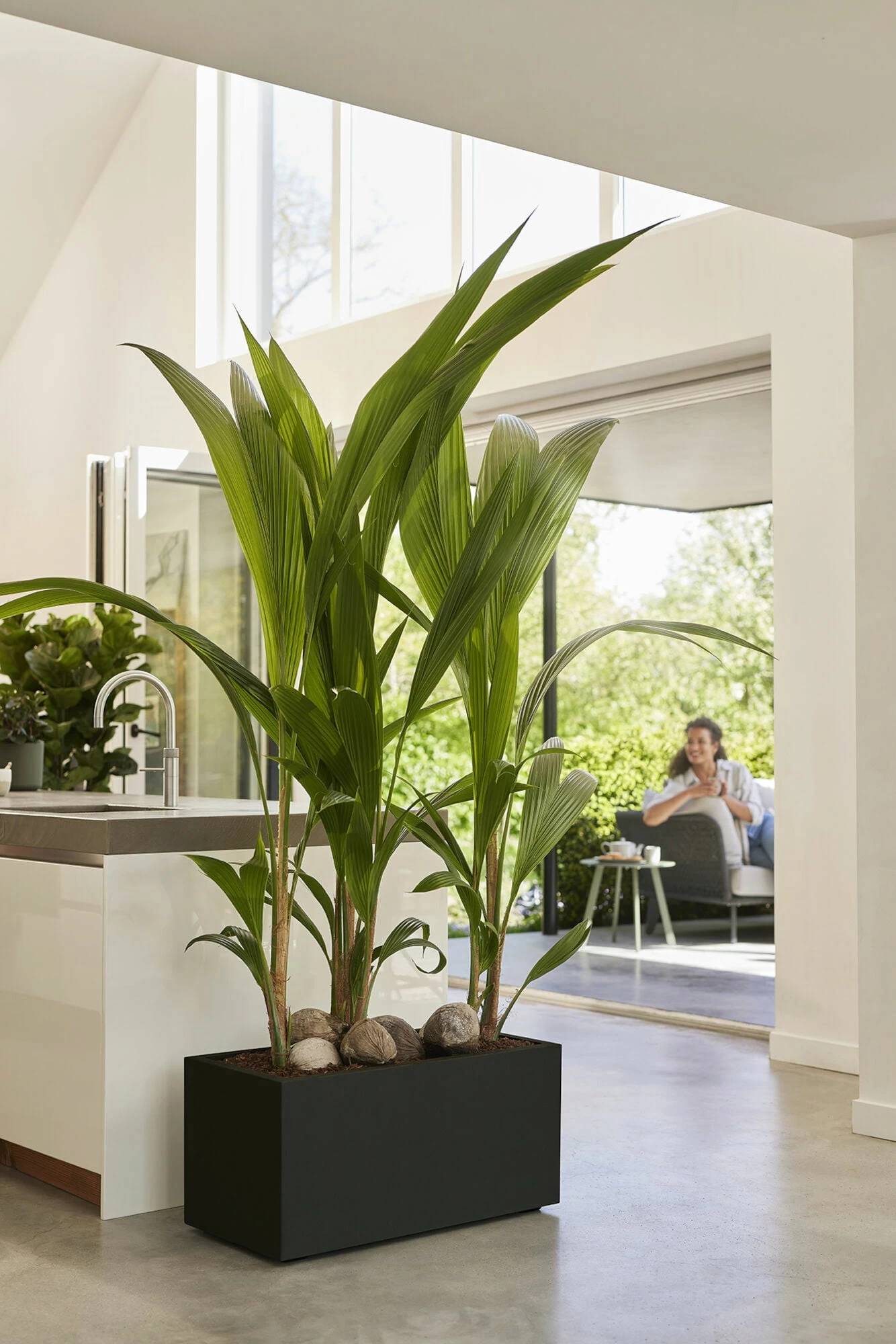 Elho Pflanzkasten Vivo Next Lang - 60 Cm, Living Schwarz – Bild 11