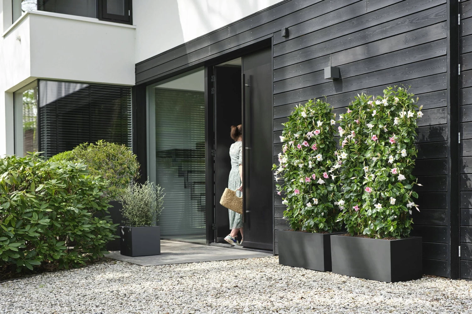 Elho Pflanzkasten Vivo Next Lang - 80 Cm, Living Schwarz – Bild 8