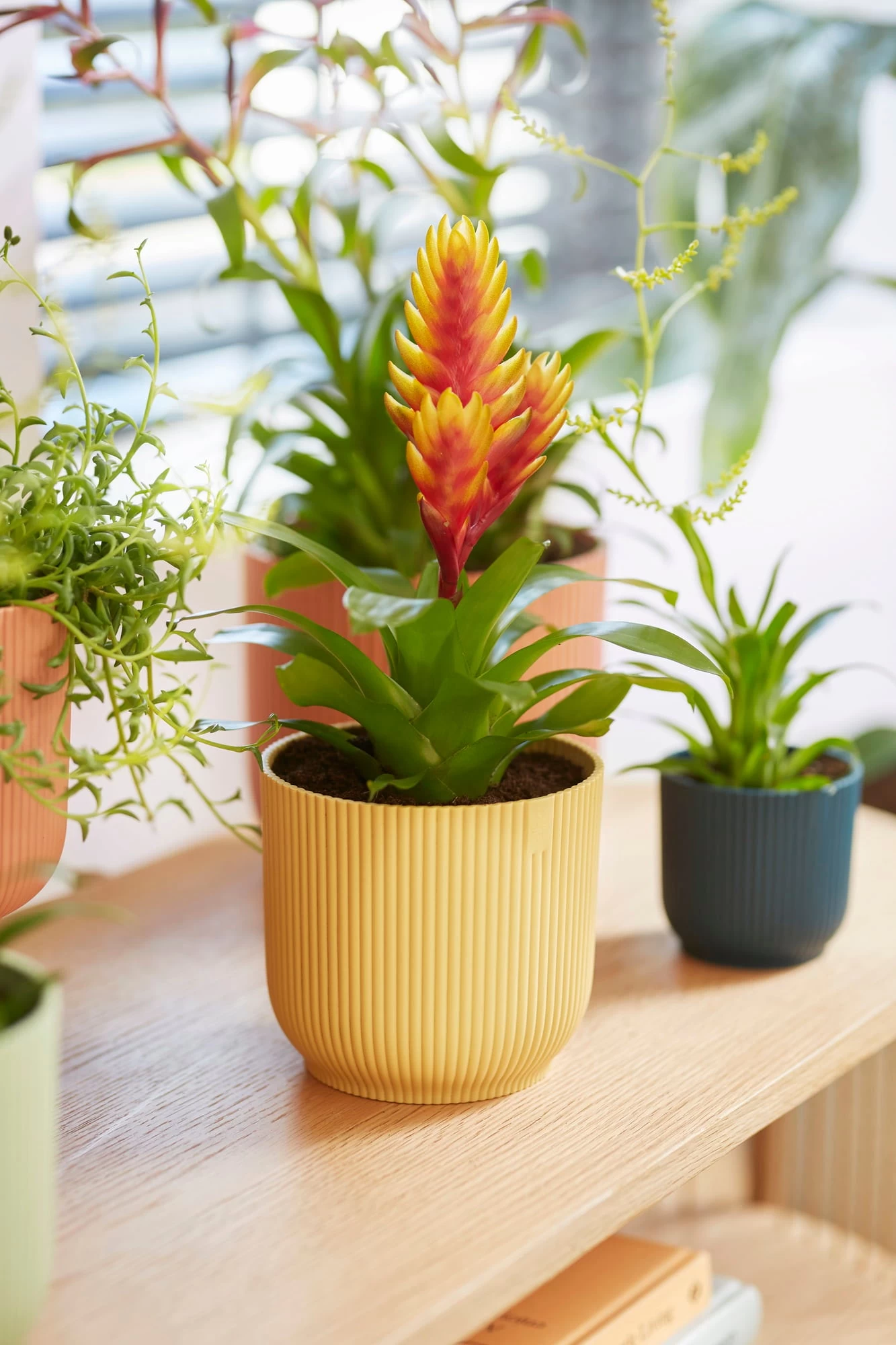 Elho Vibes Fold Rund 14 Cm, Seidenweiß – Bild 4