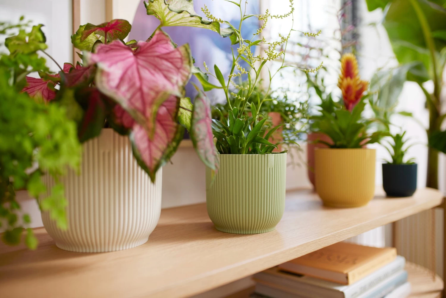 Elho Vibes Fold Rund 14 Cm, Seidenweiß – Bild 6