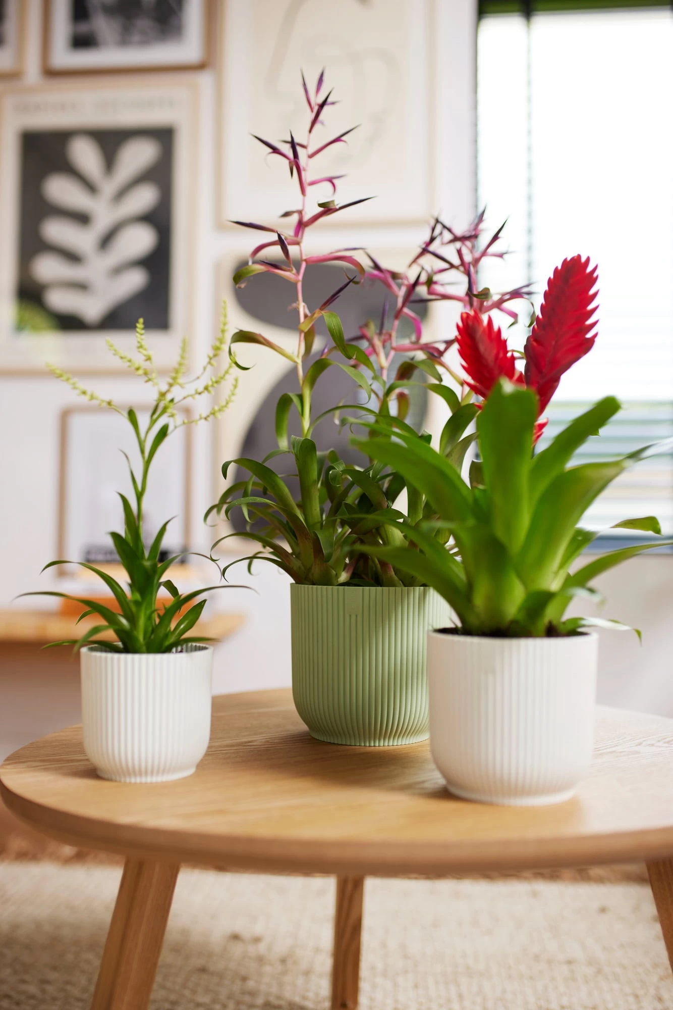 Elho Vibes Fold Rund 14 Cm, Seidenweiß – Bild 8