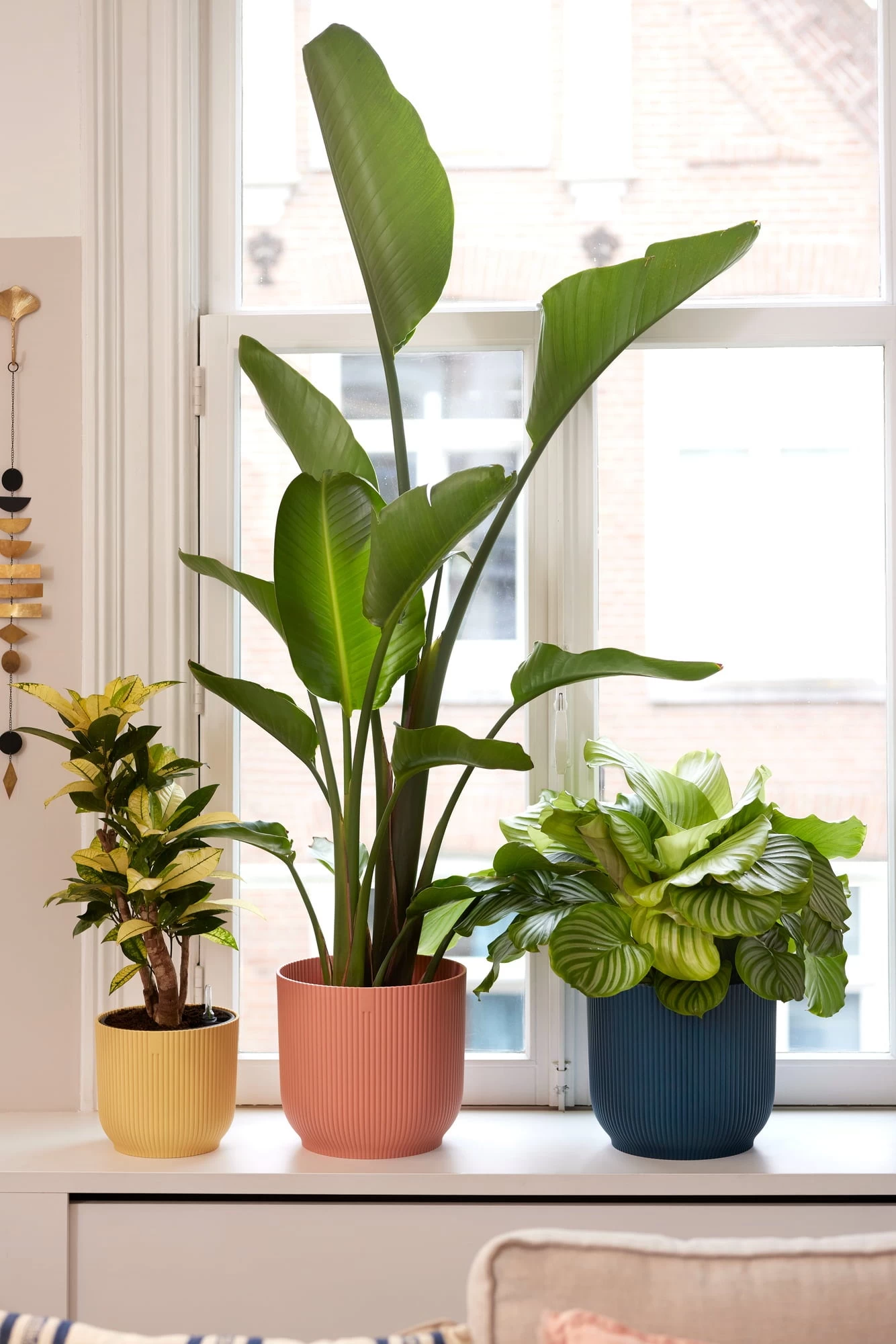 Elho Vibes Fold Rund 25 Cm, Seidenweiß – Bild 8