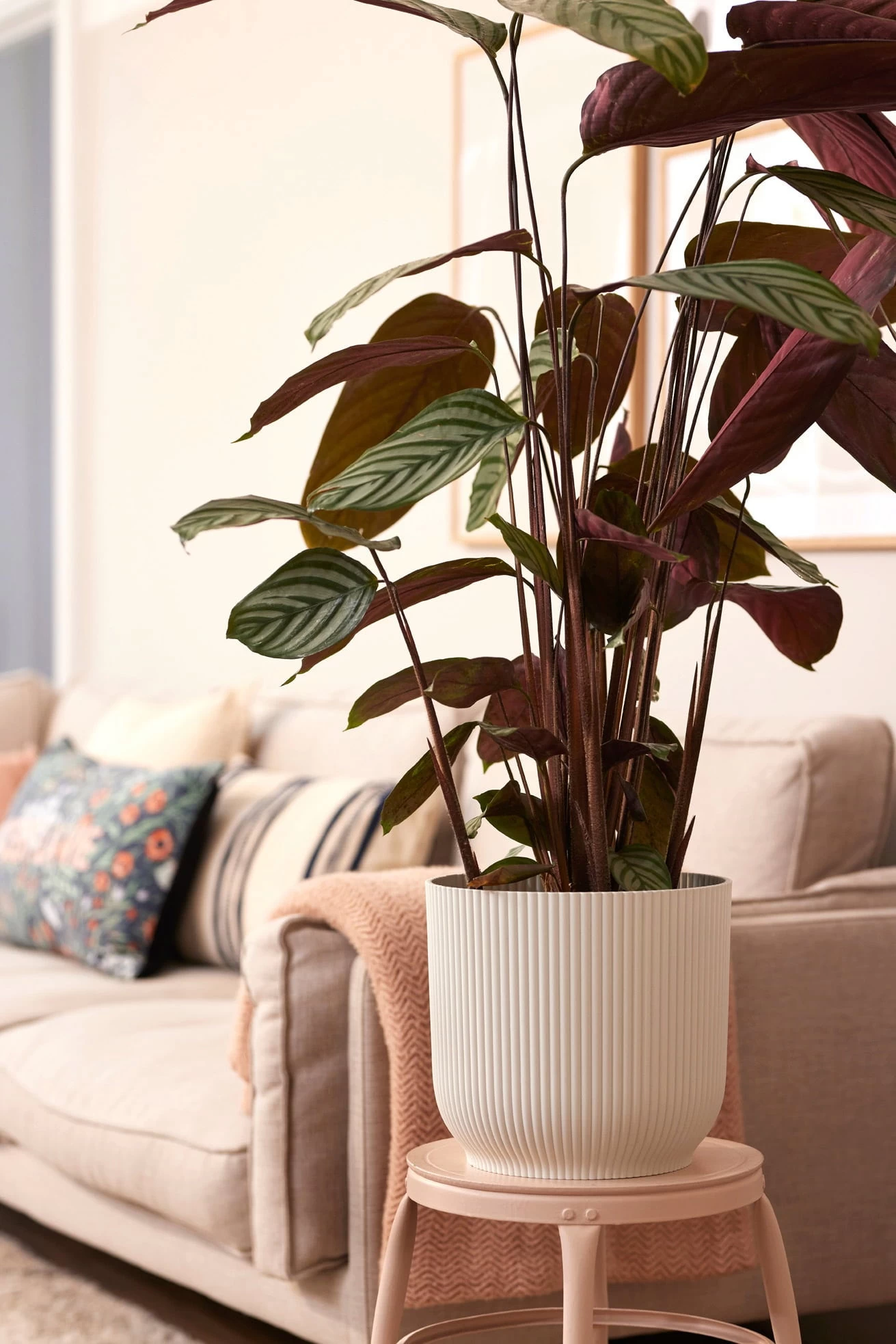 Elho Vibes Fold Rund 25 Cm, Seidenweiß – Bild 9