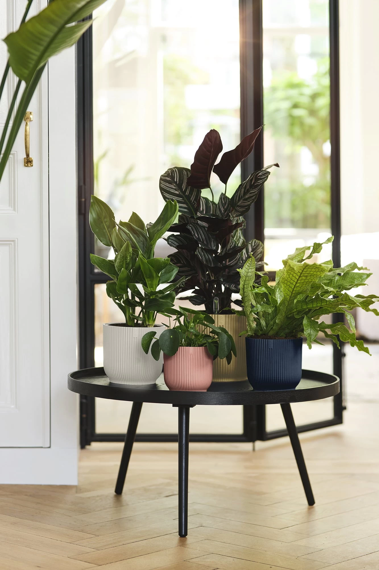 Elho Vibes Fold Rund 25 Cm, Seidenweiß – Bild 3