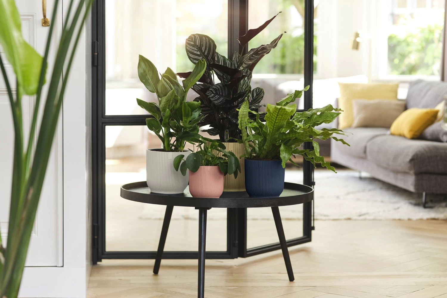 Elho Vibes Fold Rund 14 Cm, Seidenweiß – Bild 10