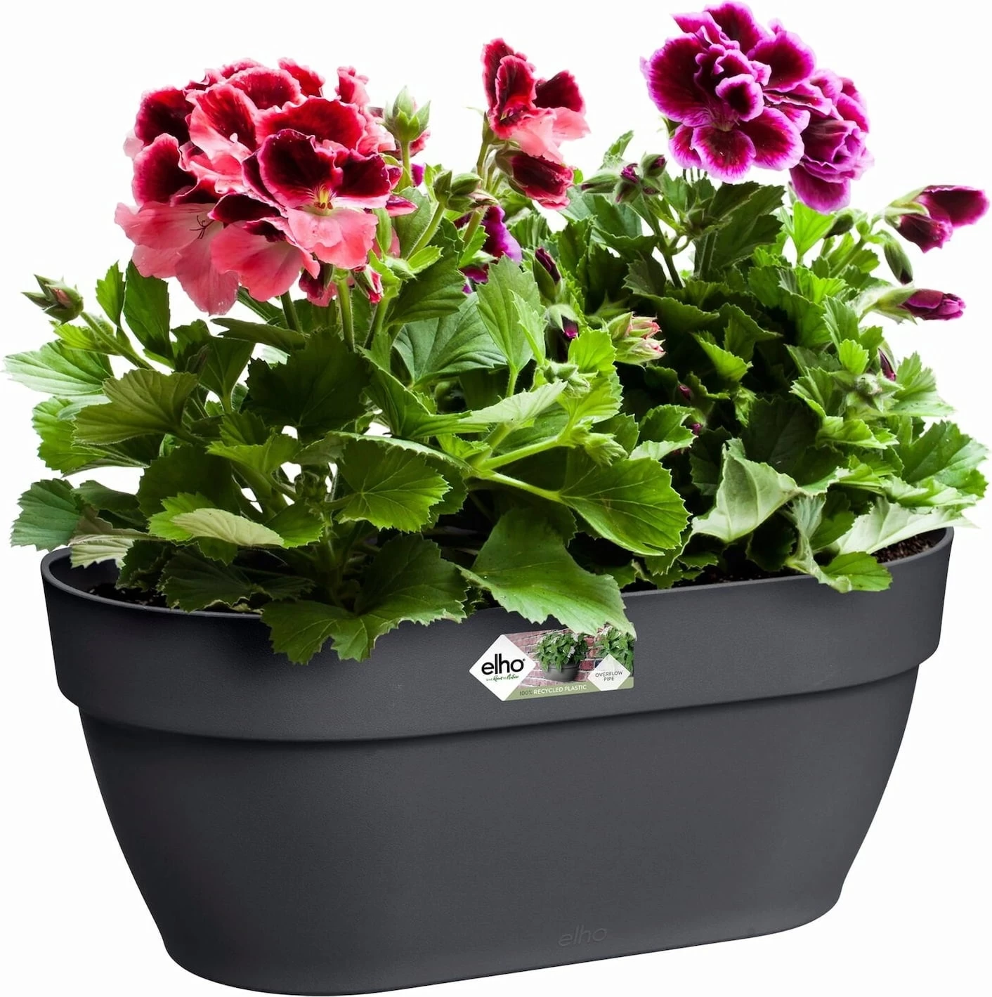 Elho Vibia Campana Wandampel 35 Cm, Anthrazit â Bild 5