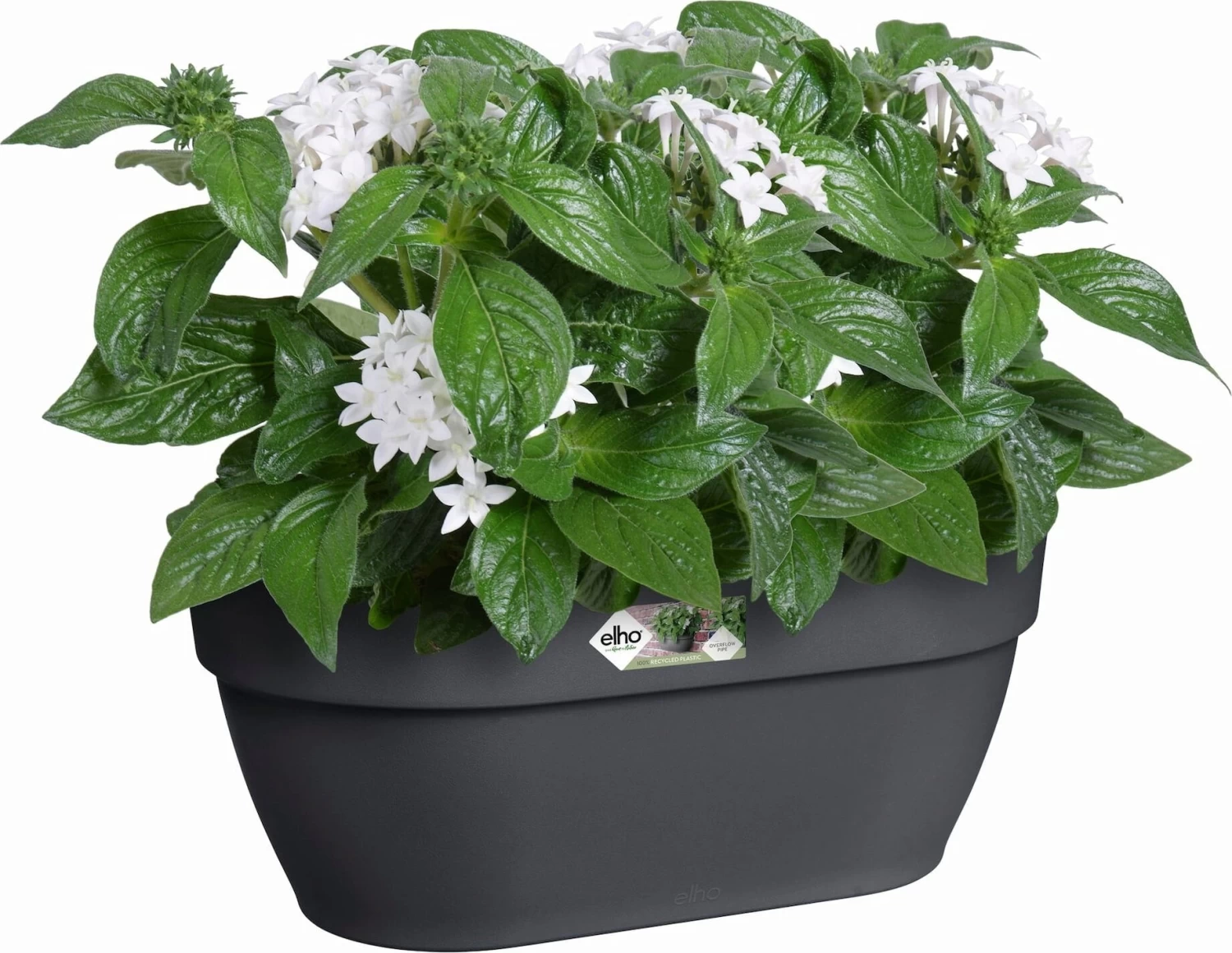 Elho Vibia Campana Wandampel 35 Cm, Anthrazit â Bild 2