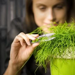 ESSCHERT DESIGN Edelstahl Mini-Schere