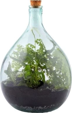 ESSCHERT DESIGN Plant Terrarium Erde