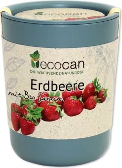 Ecocan "Erdbeere", Erdbeere