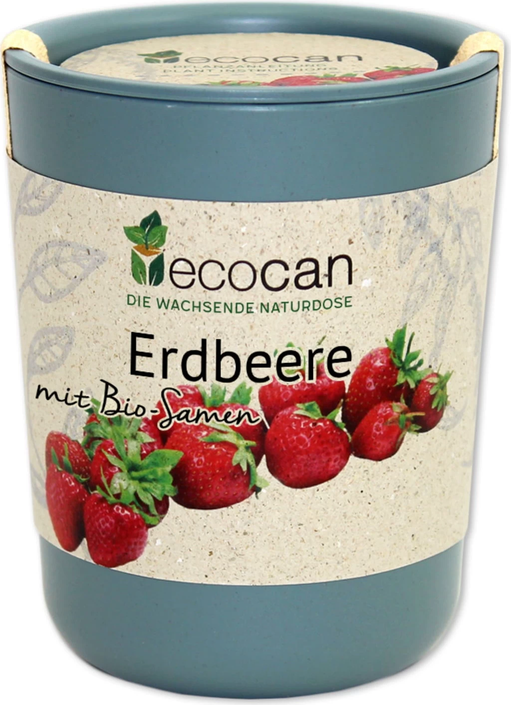 Ecocan "Erdbeere", Erdbeere