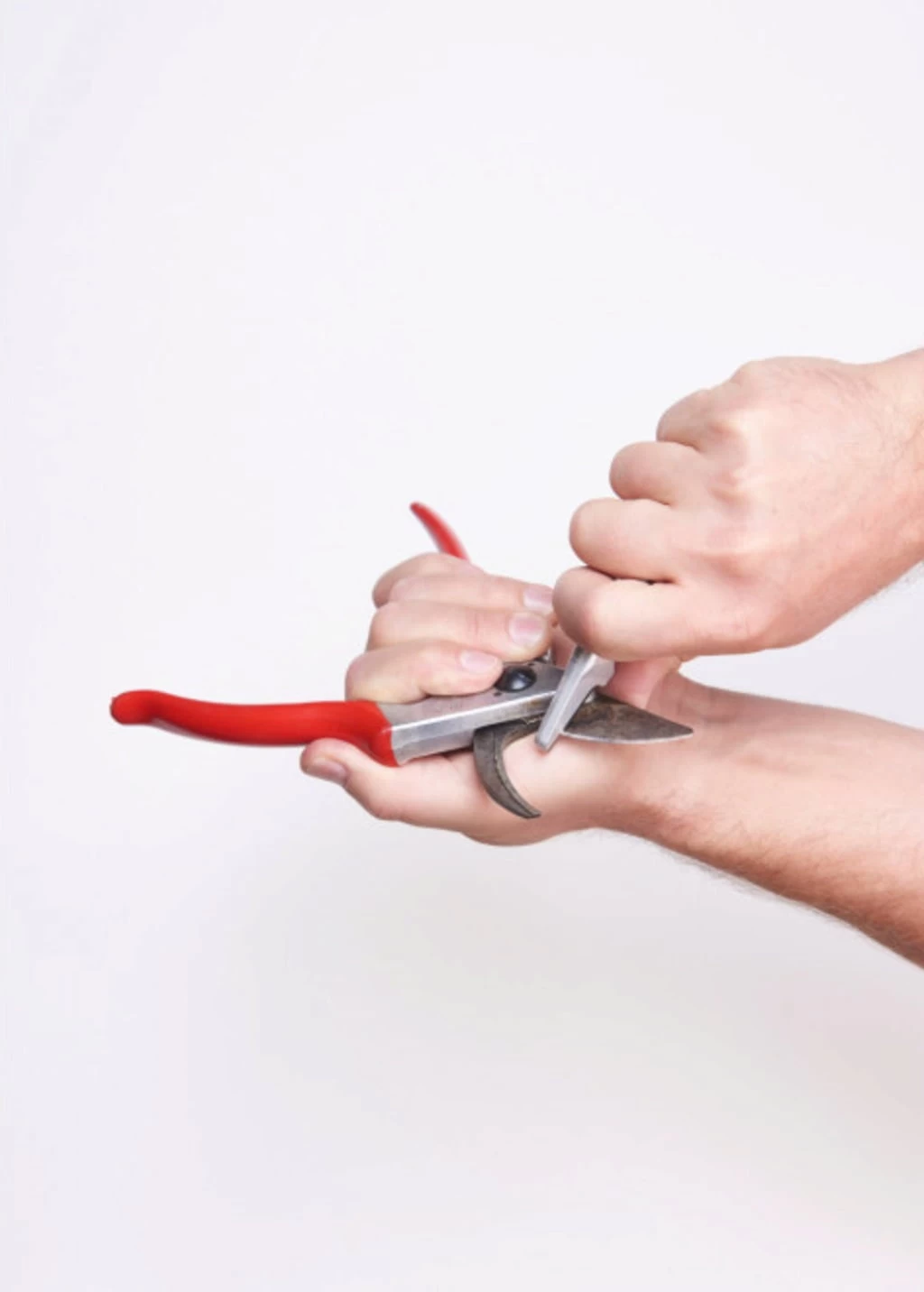 Felco Schleifwerkzeug – Bild 2