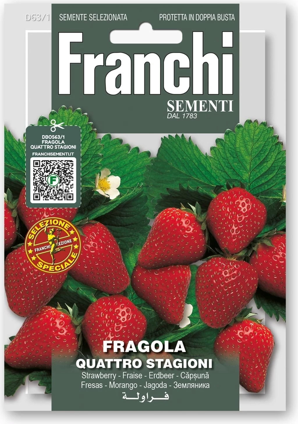 Erdbeeeren "Quattro Stagioni" â Bild 2
