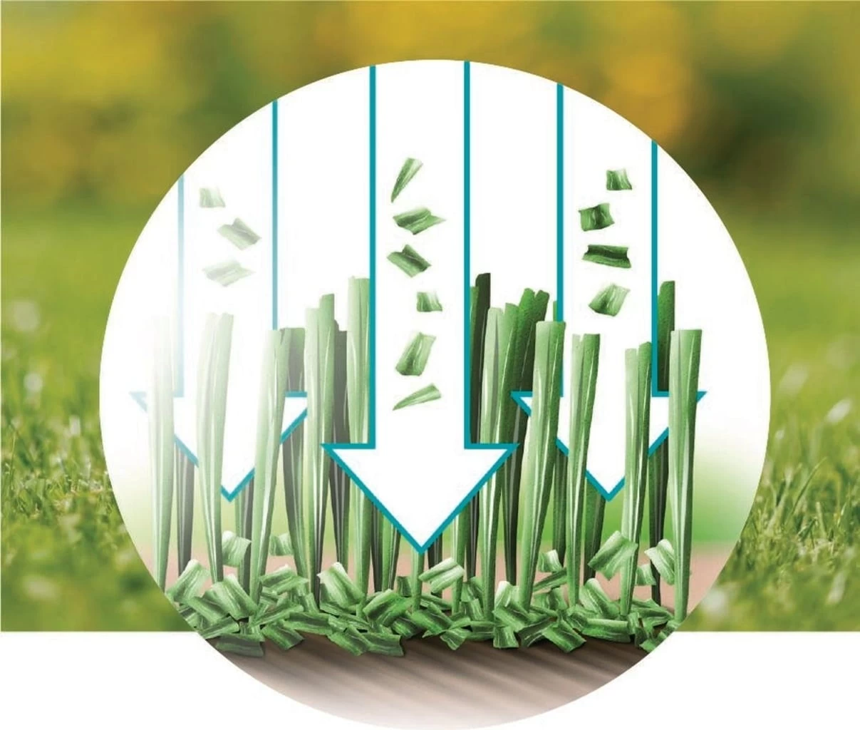 Gardena Akku-Rasenmäher HandyMower 22/18V P4A Ready-To-Use Set – Bild 19