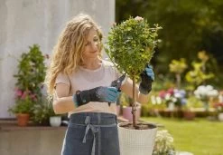 Gardena Rosenhandschuh Größe 8 / M