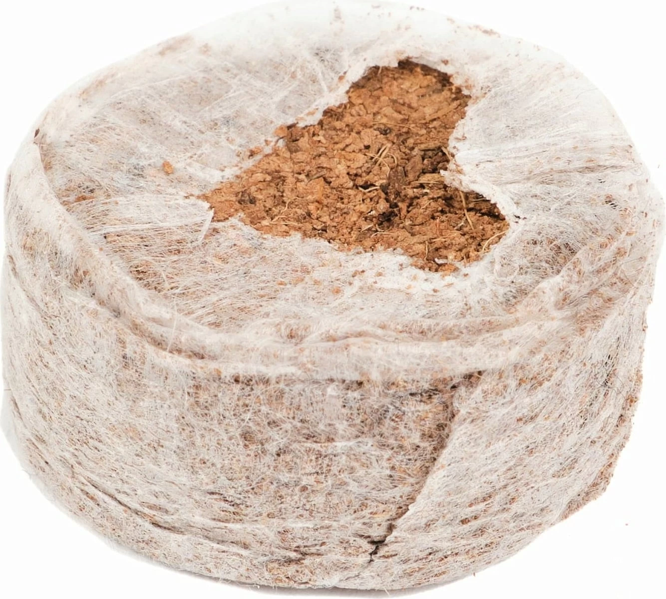 Kokos-Quelltöpfe – Bild 3