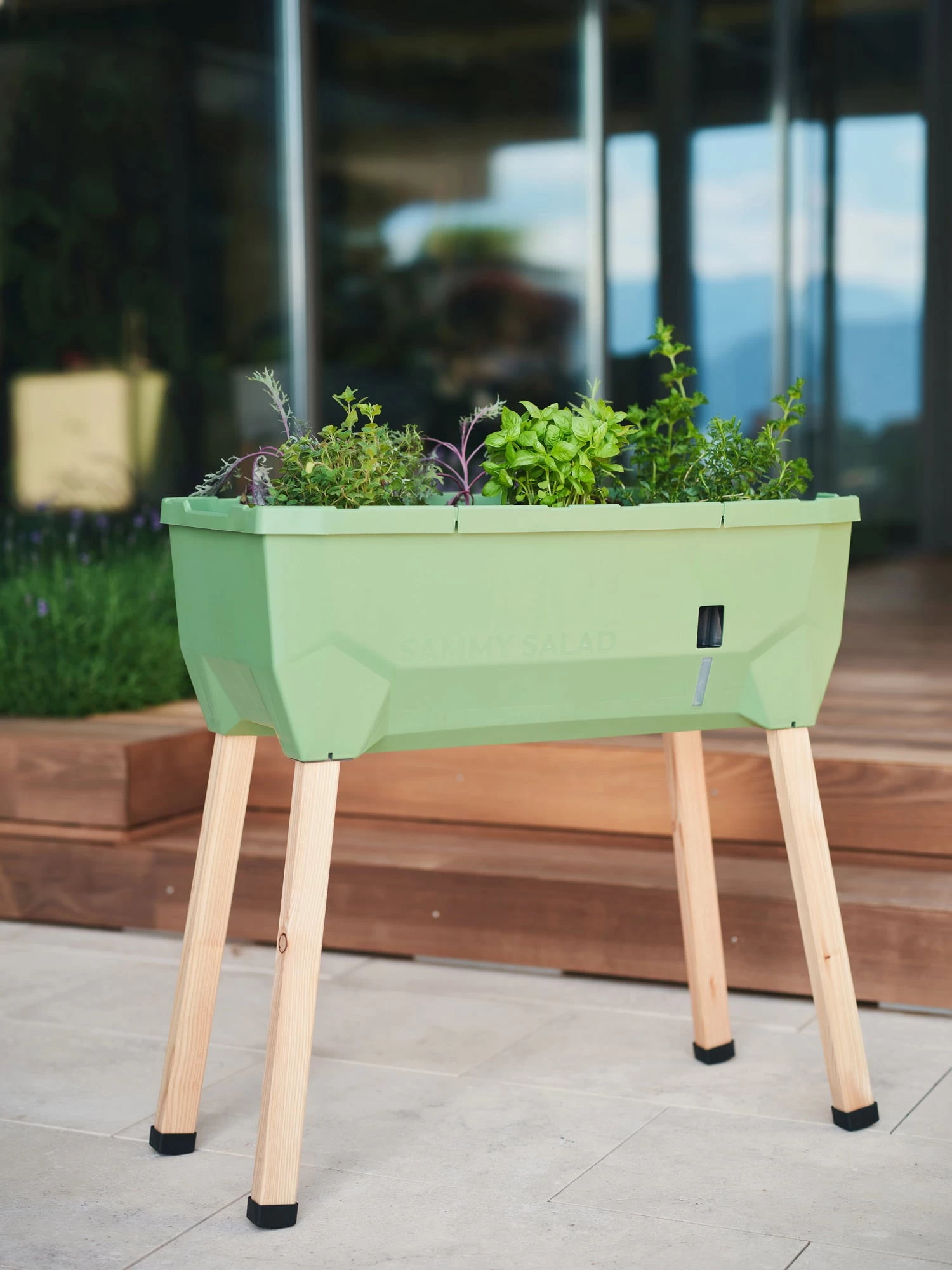 Sammy Salad Hochbeet - Ohne Haube, Dunkelgrün – Bild 5