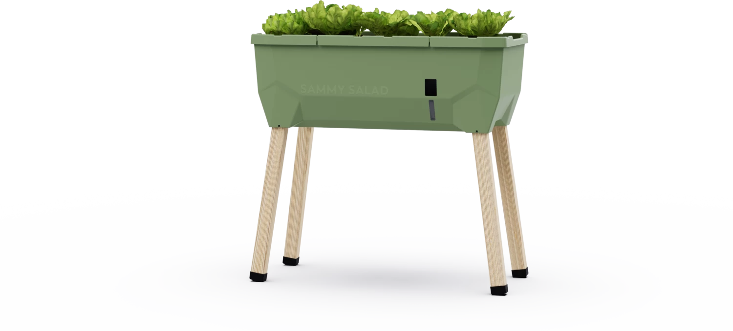 Sammy Salad Hochbeet - Ohne Haube, Dunkelgrün – Bild 2