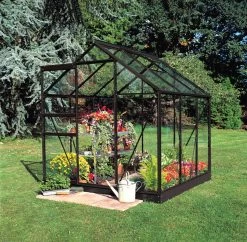 Halls Gewächshaus "Popular" 66 - Schwarz