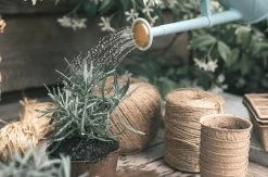 Indoor-Gießkanne "The Bartley Burbler" - 1 L, Hellblau