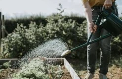 Metall Gießkanne "Original" -8,8 Liter, Grün