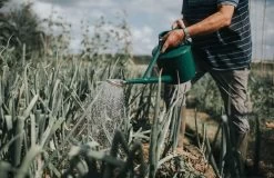 Outdoor-GieĂkanne "The Cradley Deluxe" - 7 L