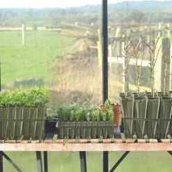 Anzuchtschale "Deep Rootrainers"