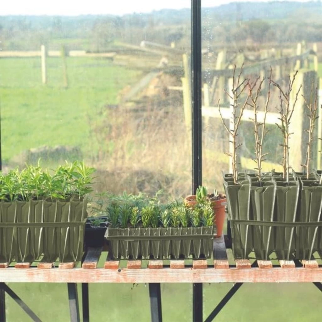 Anzuchtschale "Rapid Rootrainers" – Bild 3