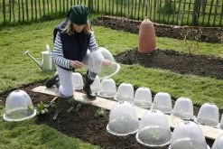 Originale Viktorianische Pflanzglocke, 3 StĂŒck