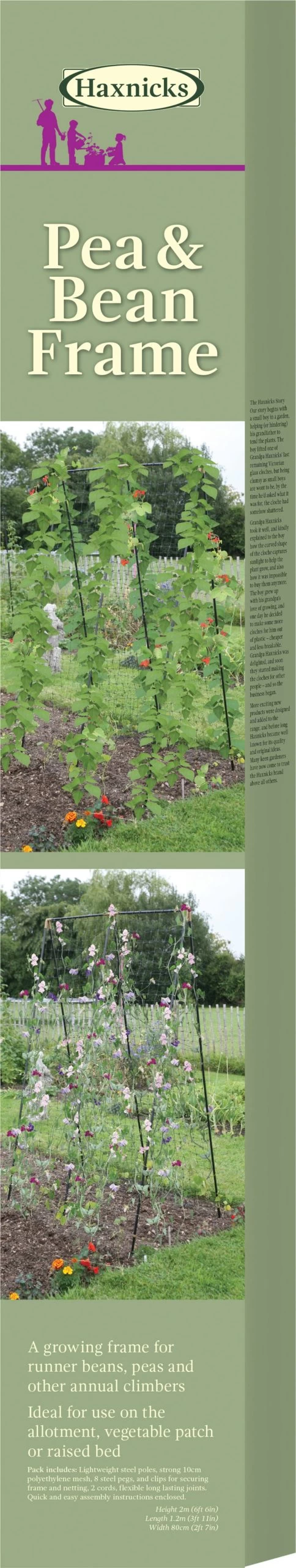 Rankhilfe Für Bohnen, Erbsen & Zuckererbsen