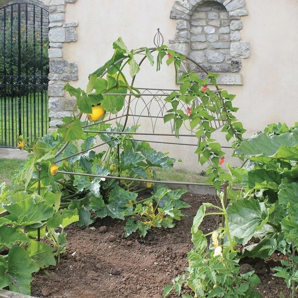 Rankhilfe Square Ornamental