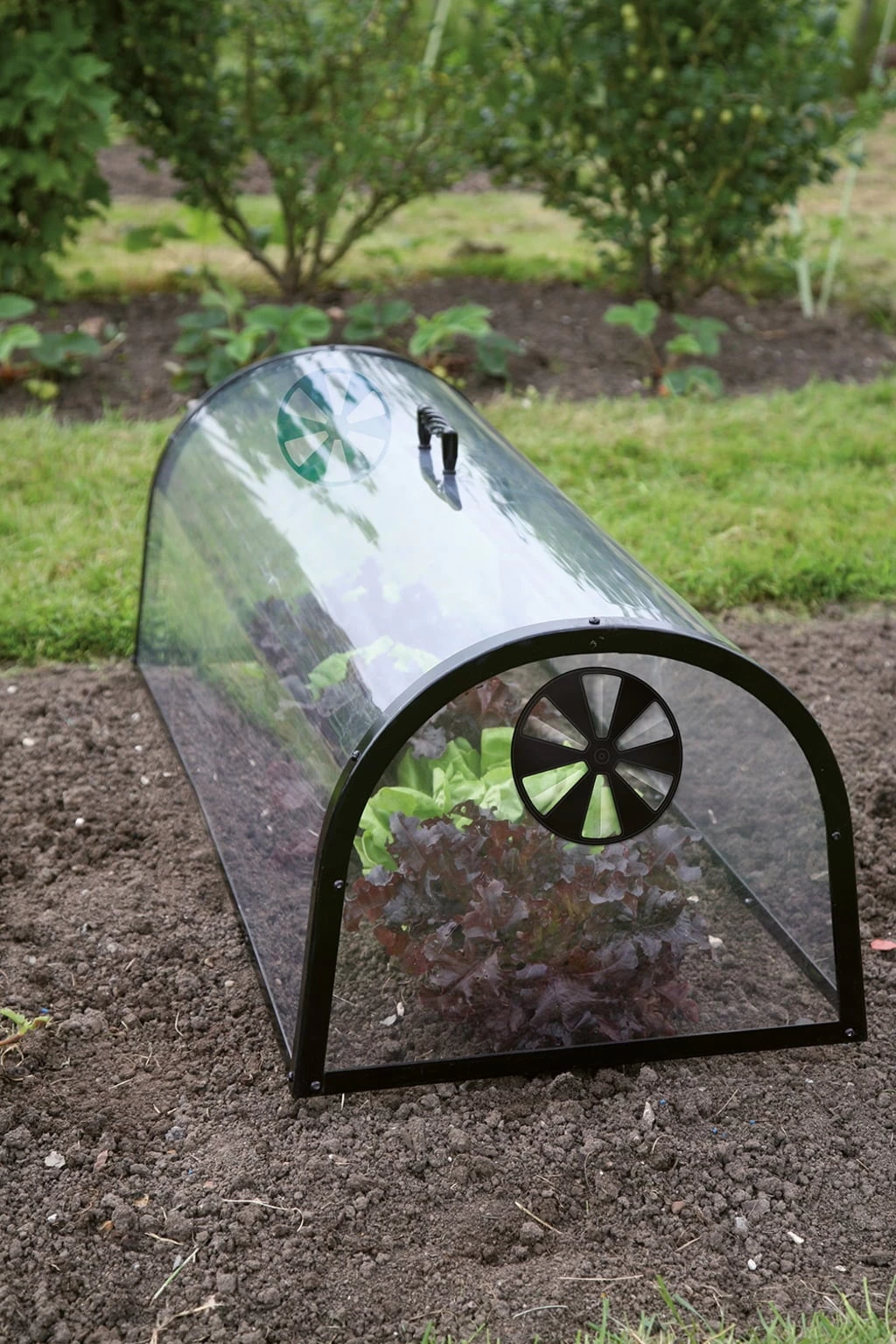 Tunnel "Küchengarten" – Bild 3