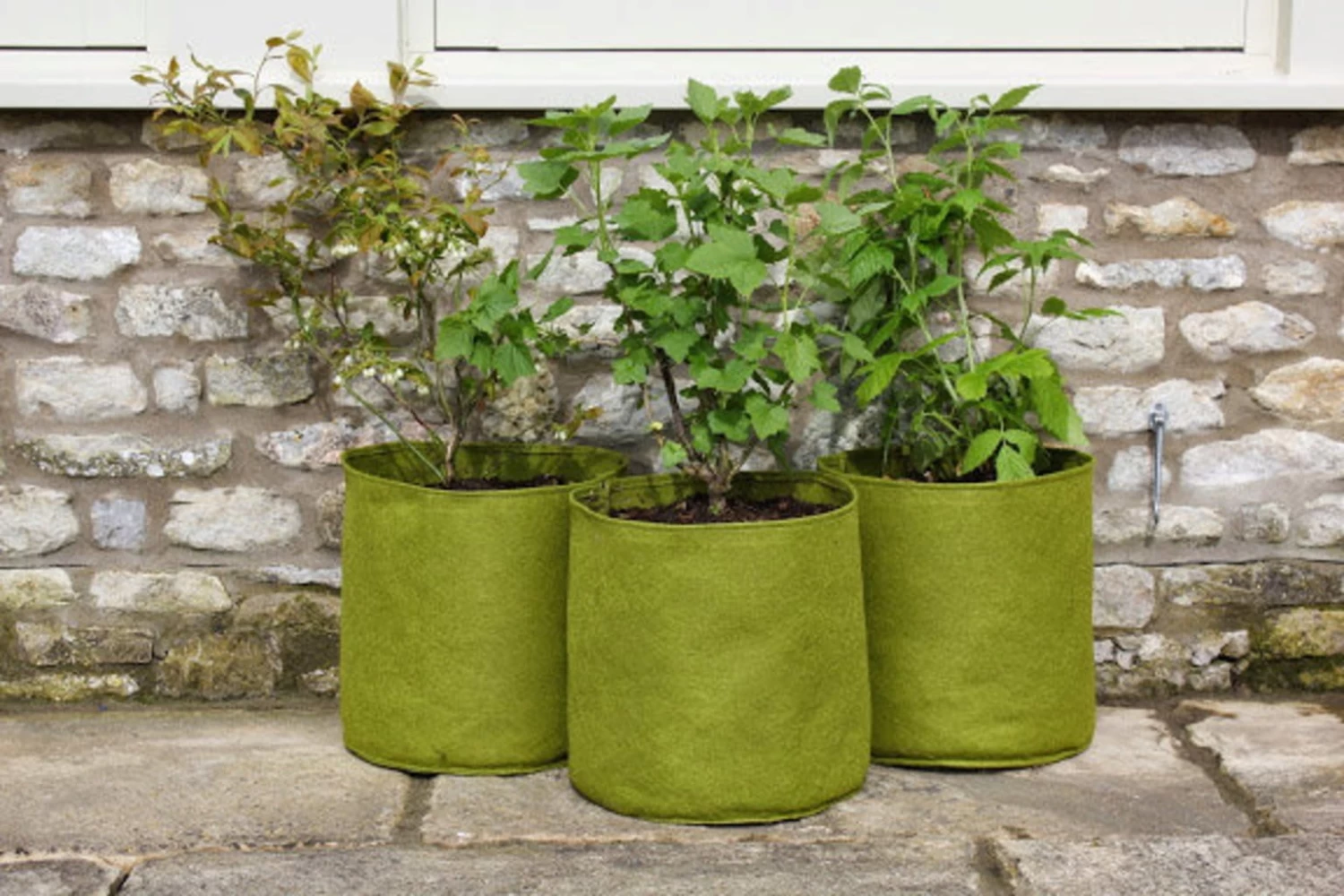 Vigoroot Pflanztaschen Im 3er Set, 5 L (3 Stück) – Bild 2