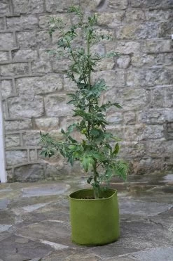 Vigoroot Pflanztaschen Im 3er Set, 5 L (3 Stück)