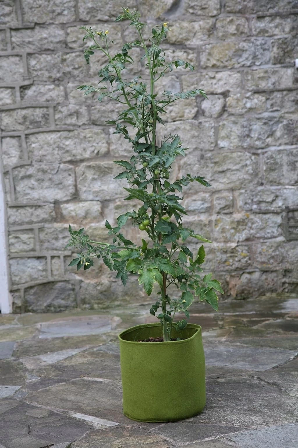 Vigoroot Pflanztaschen Im 3er Set, 5 L (3 Stück)