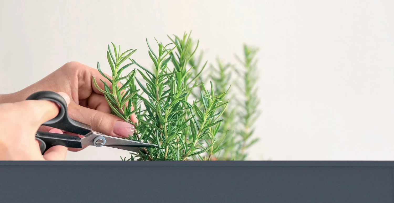 Hochbeet "Urban Garden" , Anthrazit â Bild 2