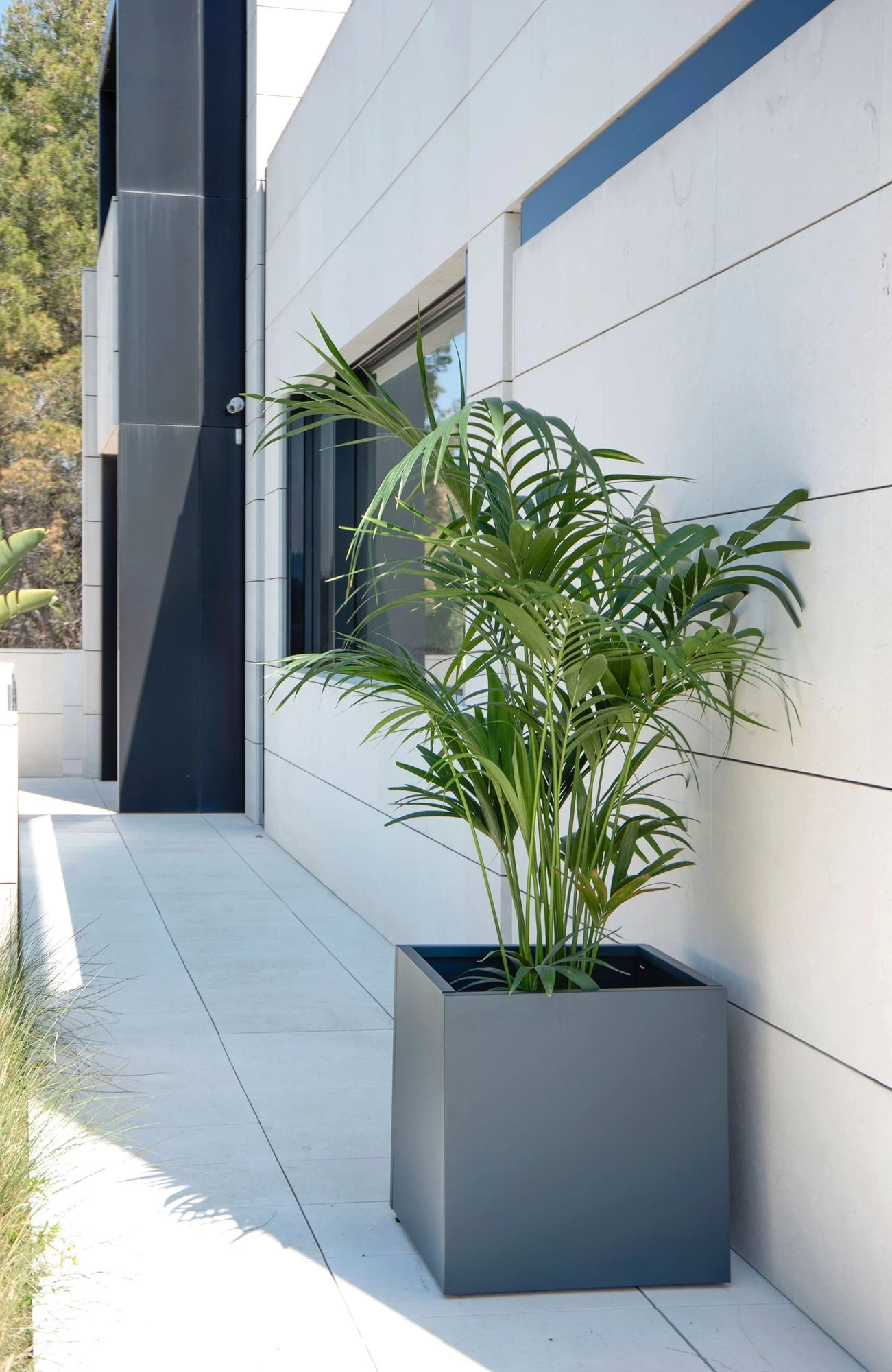 Pflanzkasten 50 X 150 X 50, Anthrazit – Bild 7