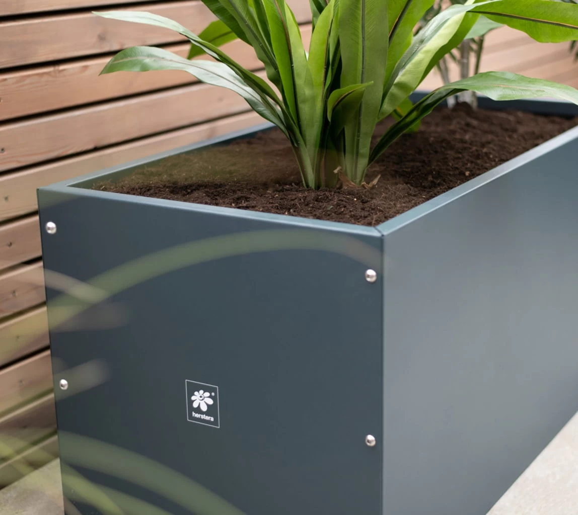 Pflanzkasten 50x100x50, Anthrazit â Bild 2