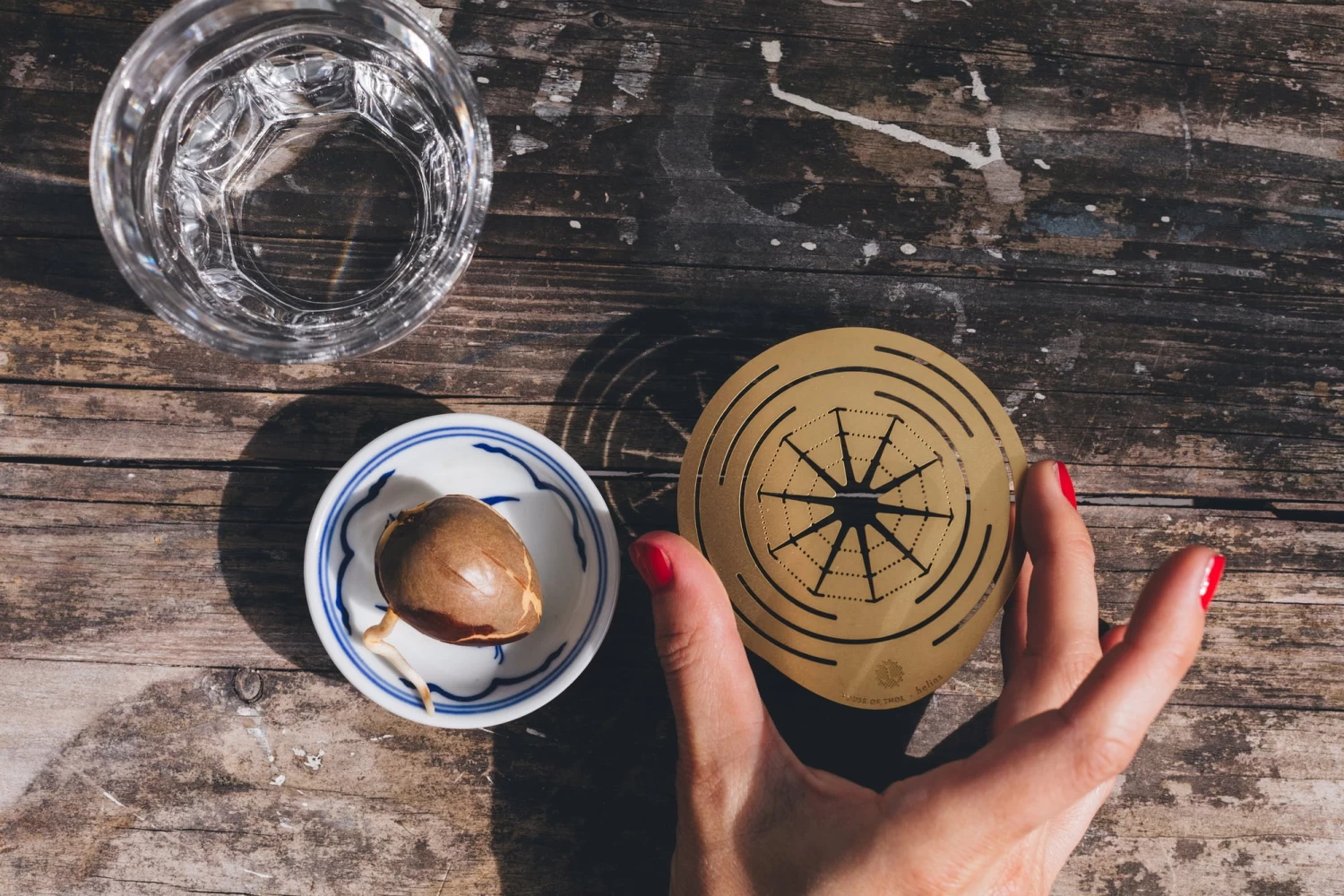 "Helios" Wachstumsscheibe Aus Messing – Bild 11