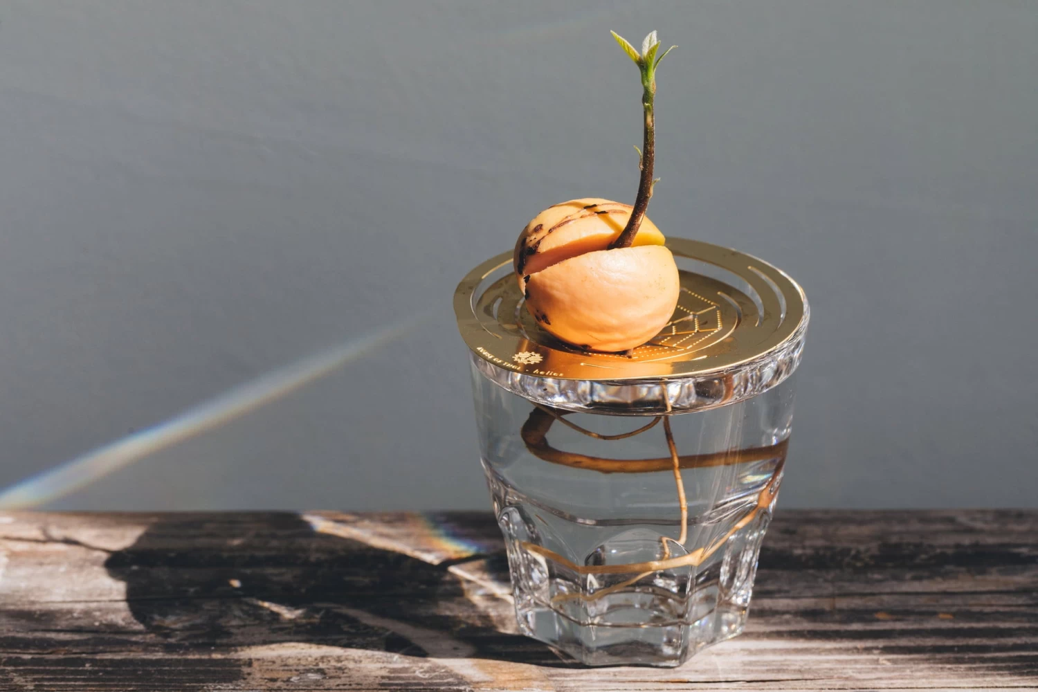 "Helios" Wachstumsscheibe Aus Messing – Bild 5