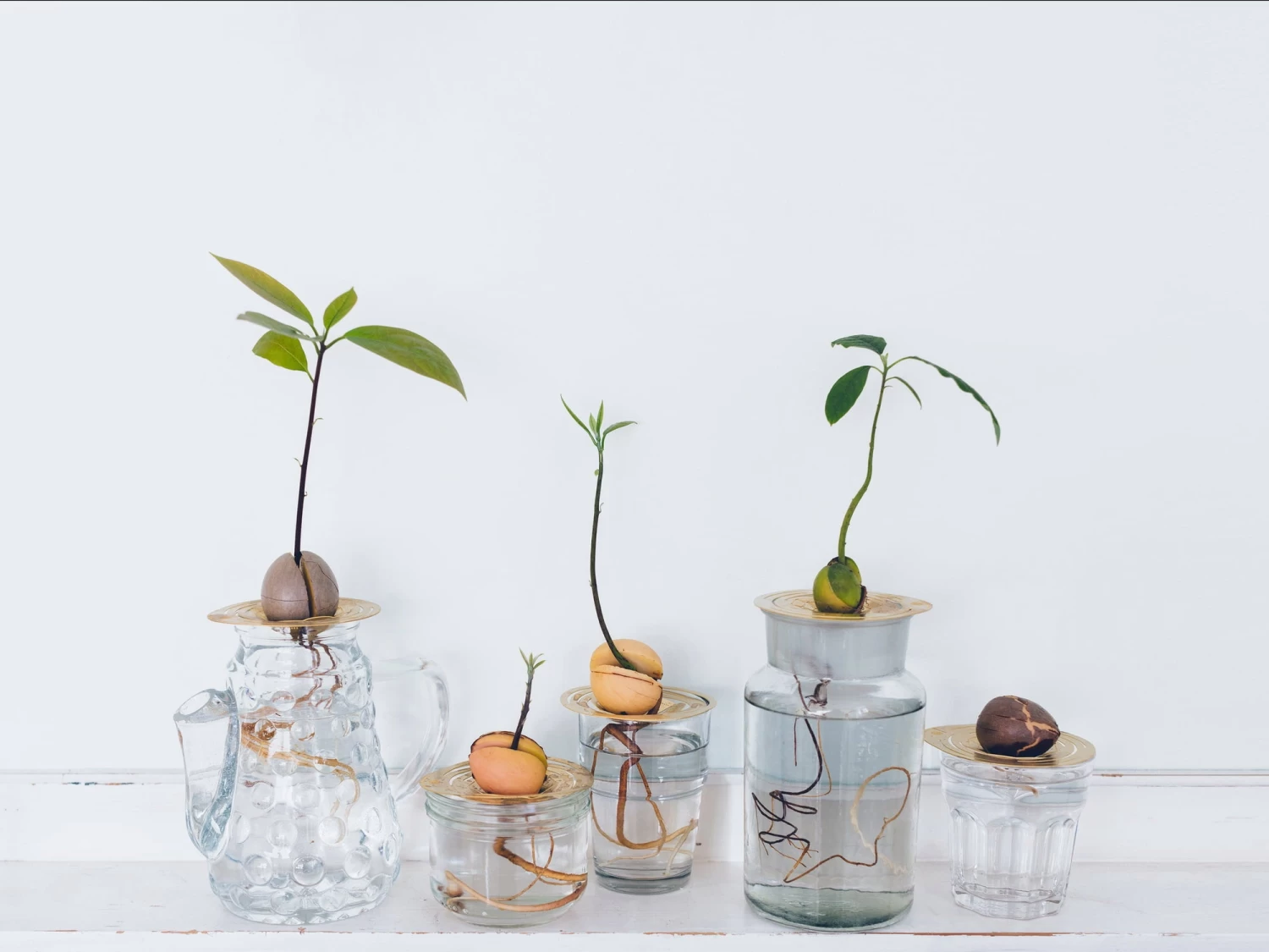 "Helios" Wachstumsscheibe Aus Messing – Bild 6